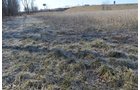 Property photo 19 - East Allen County - 55 Acre Land Auction